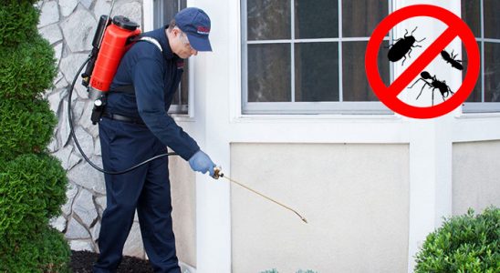Yavuzeli Pire İlaçlama böcek ilaçlama ve haşere kontrolü — ilaclama-tr.com
